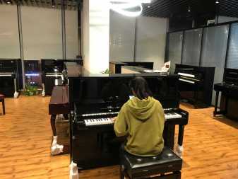 批发教学琴海伦、珠江、雅马哈,钢琴回收钢琴调律 批发教学琴海伦、珠江、雅马哈,钢琴回收钢琴调律